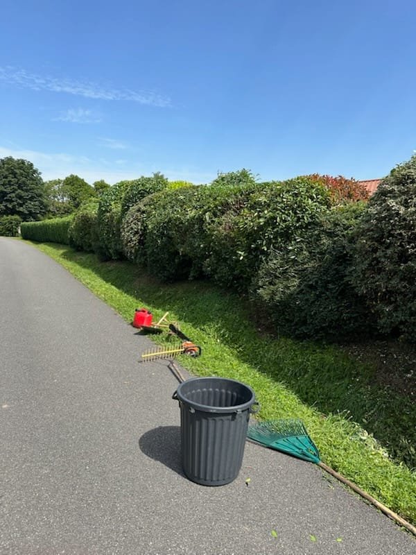 Taille et nettoyage muret végétalisé — Élagage Stehly